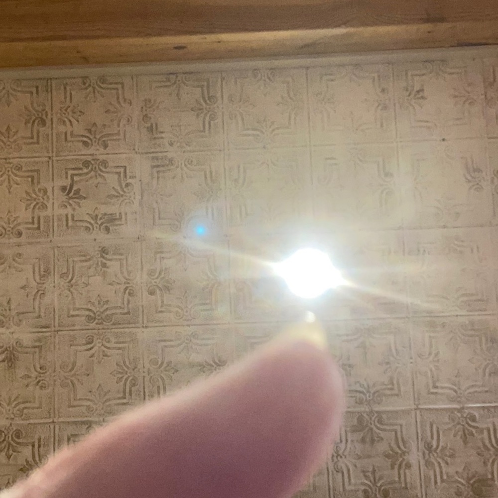 Meet your Posher, Shelly